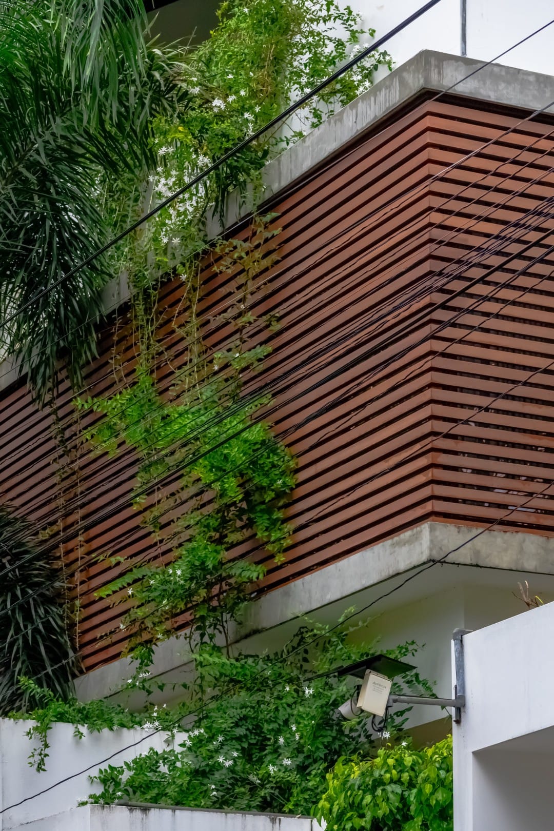 Abode by the Lagoon - Image 3