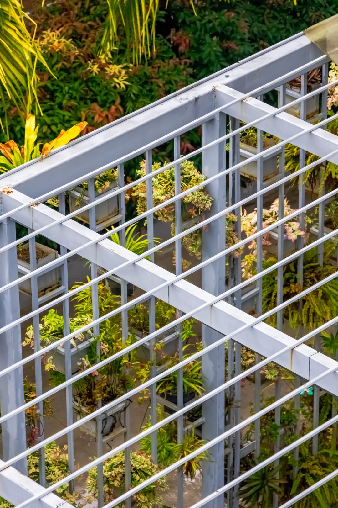 Abode by the Lagoon - Image 9