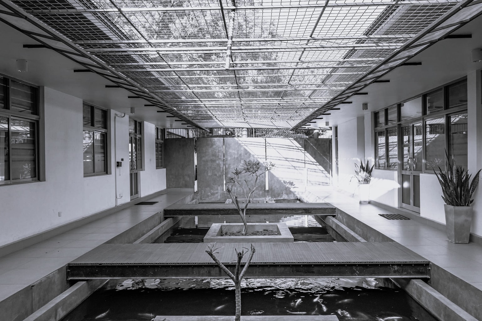 Sustainable architecture with natural elements